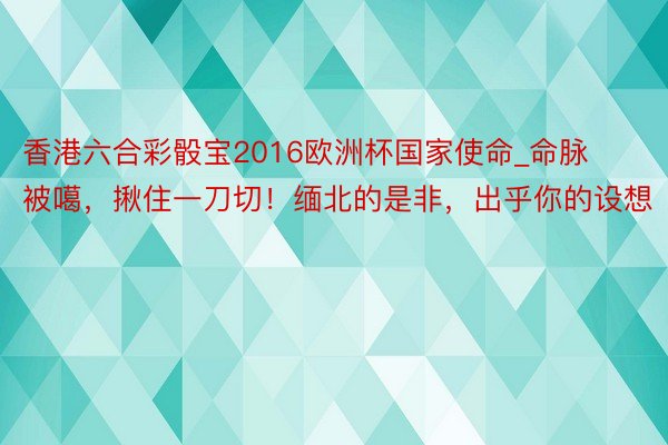 香港六合彩骰宝2016欧洲杯国家使命_命脉被噶，揪住一刀切！缅北的是非，出乎你的设想